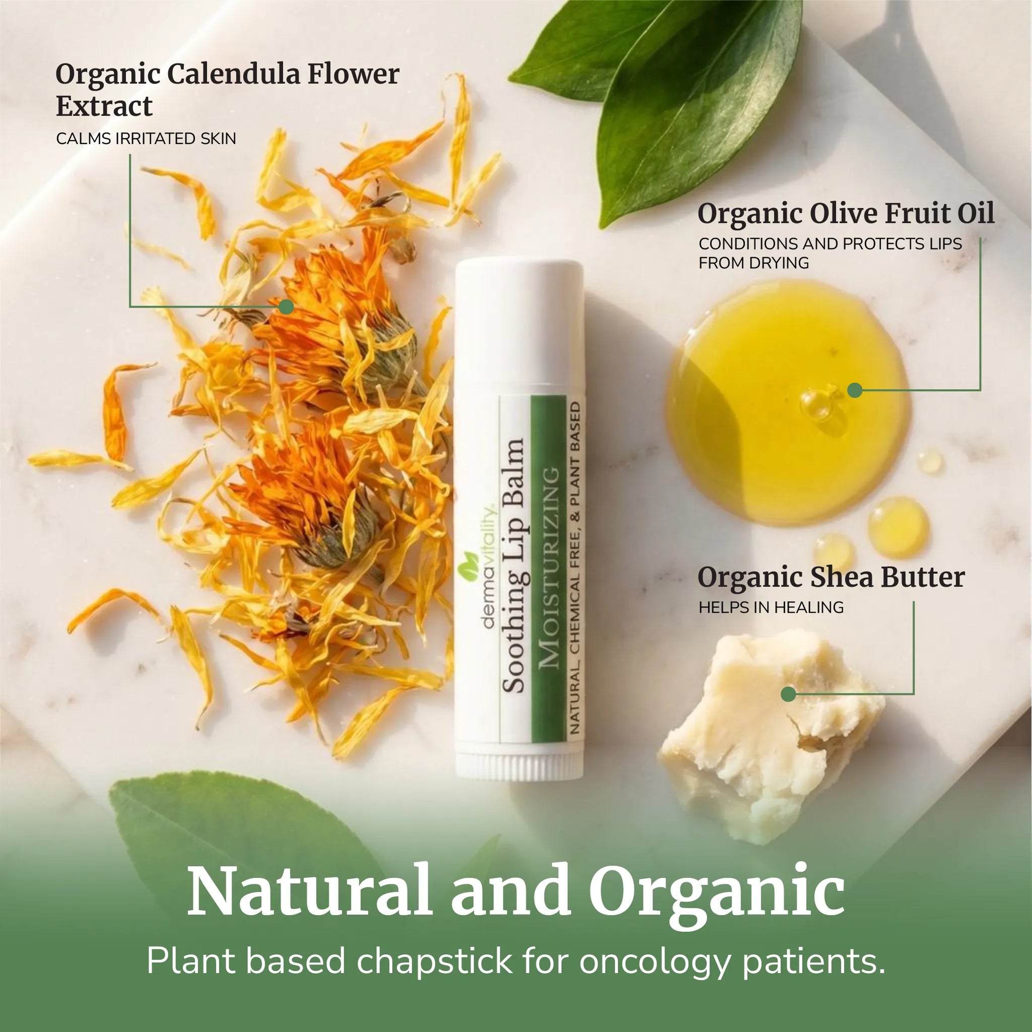 Best Lip Balm for Chemo Patients – Organic & Oncology-Safe (Single Pack)